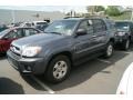 2009 Galactic Gray Mica Toyota 4Runner SR5 4x4  photo #4