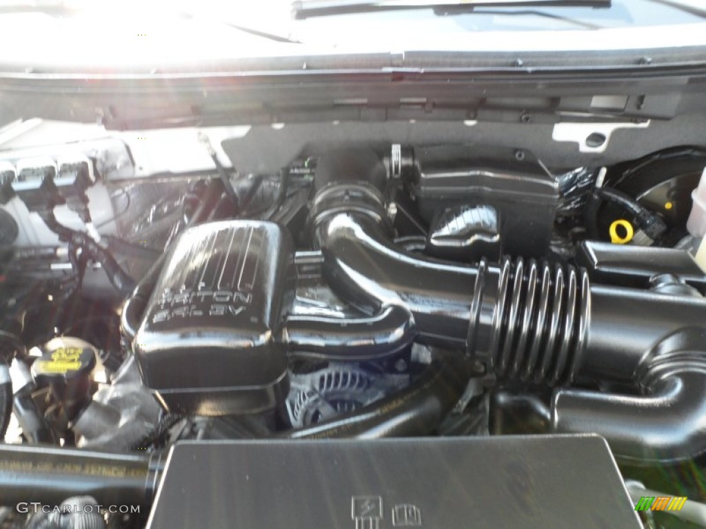 2010 F150 Platinum SuperCrew - Ingot Silver Metallic / Medium Stone Leather/Sienna Brown photo #24