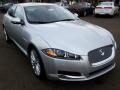 Rhodium Silver Metallic - XF Portfolio Photo No. 4