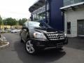 Black - ML 350 4Matic Photo No. 1