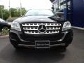 Black - ML 350 4Matic Photo No. 3