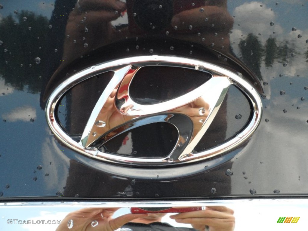 2013 Hyundai Sonata Limited 2.0T Marks and Logos Photo #64780413