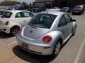 Reflex Silver - New Beetle 2.5 Coupe Photo No. 3