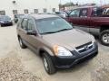 Mojave Mist Metallic - CR-V LX 4WD Photo No. 1