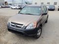 Mojave Mist Metallic - CR-V LX 4WD Photo No. 2