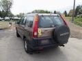Mojave Mist Metallic - CR-V LX 4WD Photo No. 3