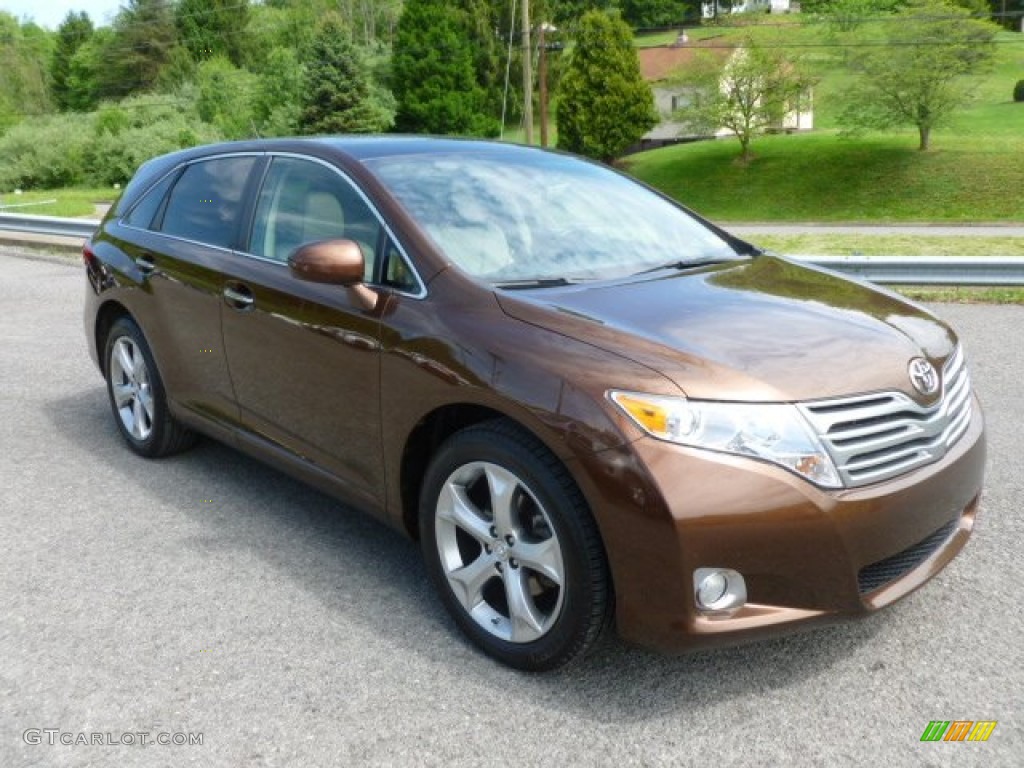 Sunset Bronze Mica Toyota Venza