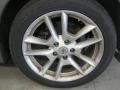 Precision Gray Metallic - Maxima 3.5 SV Photo No. 3