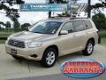 Sandy Beach Metallic - Highlander  Photo No. 1