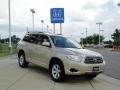 Sandy Beach Metallic - Highlander  Photo No. 2