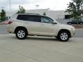 Sandy Beach Metallic - Highlander  Photo No. 4