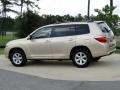 Sandy Beach Metallic - Highlander  Photo No. 7