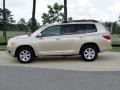 Sandy Beach Metallic - Highlander  Photo No. 8