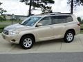 Sandy Beach Metallic - Highlander  Photo No. 9