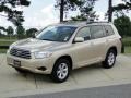 Sandy Beach Metallic - Highlander  Photo No. 10