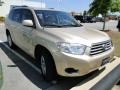 Sandy Beach Metallic - Highlander  Photo No. 37