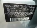2009 Quicksilver Hyundai Elantra GLS Sedan  photo #24