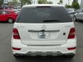 2009 Arctic White Mercedes-Benz ML 550 4Matic  photo #9