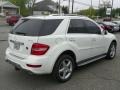 2009 Arctic White Mercedes-Benz ML 550 4Matic  photo #10