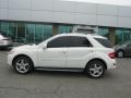 2009 Arctic White Mercedes-Benz ML 550 4Matic  photo #27