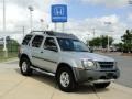 2002 Silver Ice Metallic Nissan Xterra XE V6  photo #2