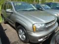 Graystone Metallic - TrailBlazer LS 4x4 Photo No. 1
