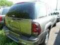 Graystone Metallic - TrailBlazer LS 4x4 Photo No. 2