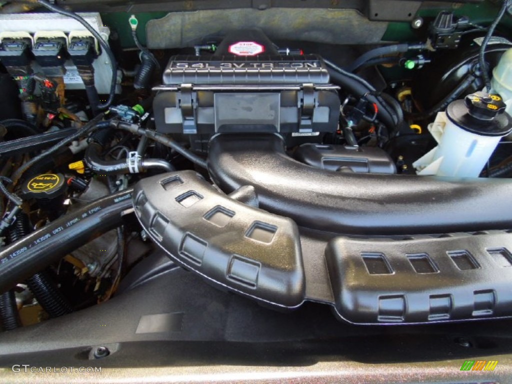 2004 F150 Lariat SuperCrew 4x4 - Aspen Green Metallic / Tan photo #29