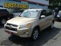 2010 Sandy Beach Metallic Toyota RAV4 Limited V6 4WD  photo #3