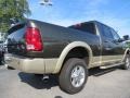 Sagebrush Pearl - Ram 2500 HD Laramie Longhorn Crew Cab 4x4 Photo No. 3