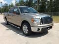 2012 Pale Adobe Metallic Ford F150 XLT SuperCrew  photo #1