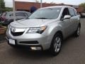 2010 Palladium Metallic Acura MDX   photo #1