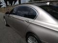 2009 Cashmere Silver Metallic BMW 7 Series 750Li Sedan  photo #16