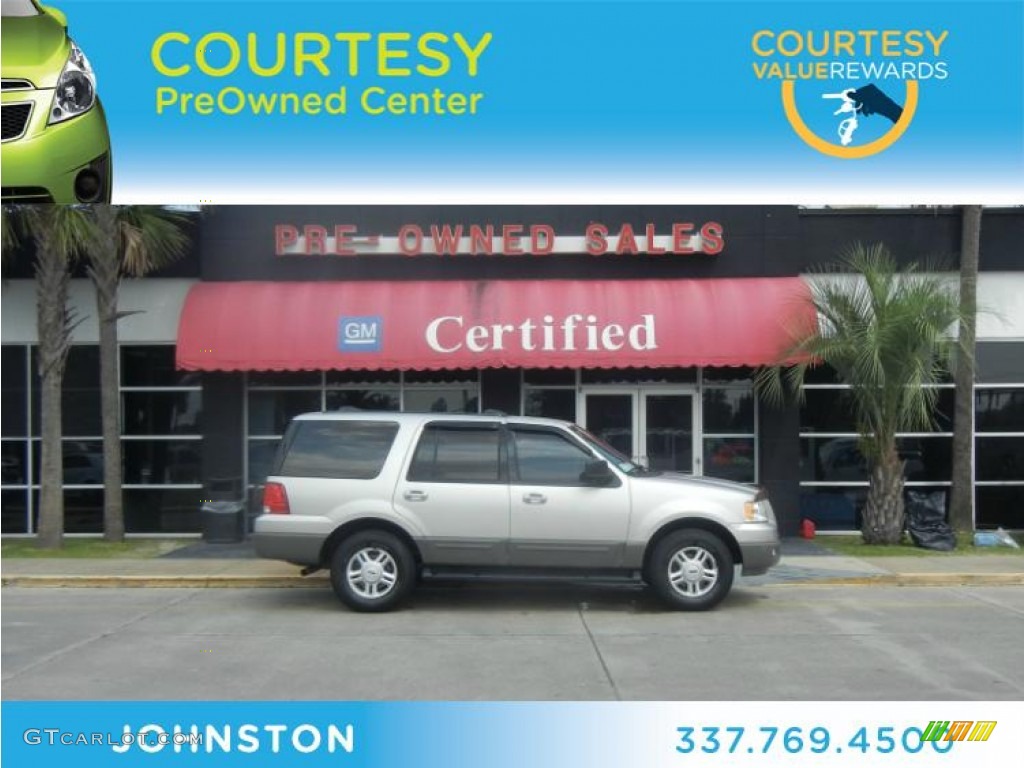 2003 Expedition XLT - Silver Birch Metallic / Flint Grey photo #1