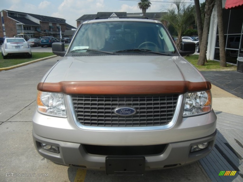 2003 Expedition XLT - Silver Birch Metallic / Flint Grey photo #2
