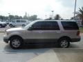 2003 Silver Birch Metallic Ford Expedition XLT  photo #5