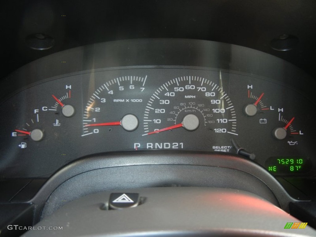 2003 Expedition XLT - Silver Birch Metallic / Flint Grey photo #18