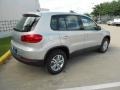 White Gold Metallic - Tiguan S Photo No. 7