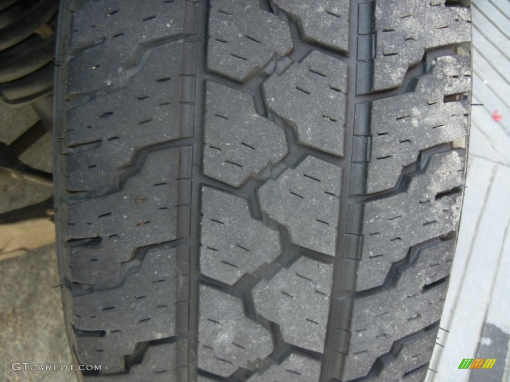 2003 Expedition XLT - Silver Birch Metallic / Flint Grey photo #27