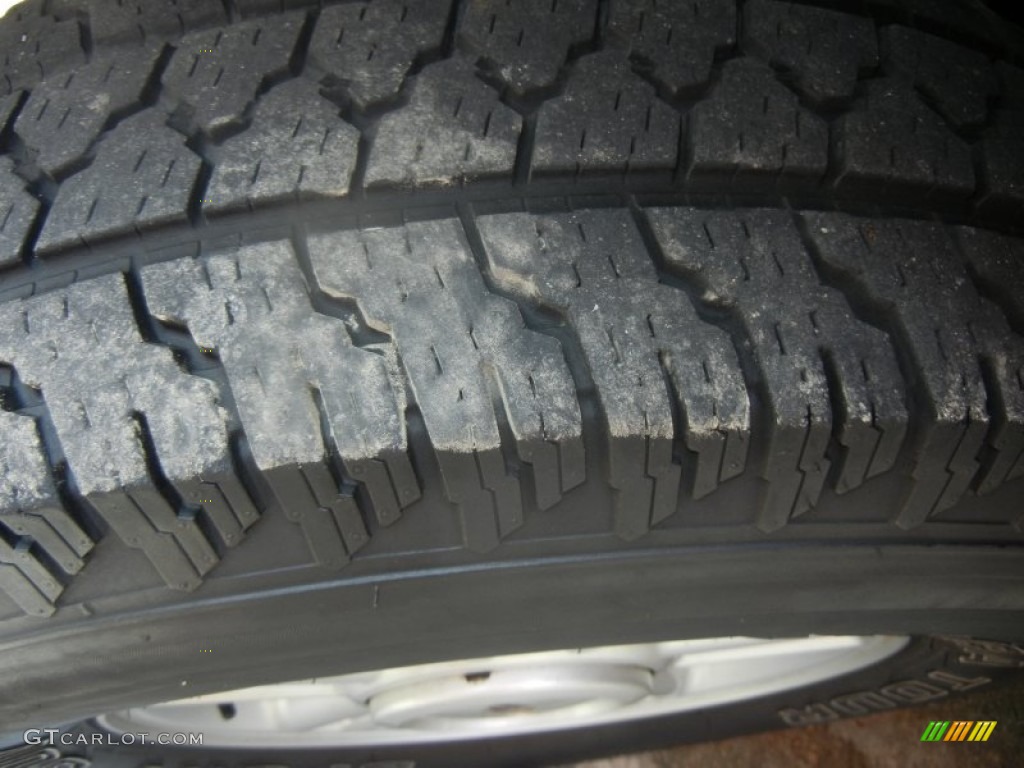 2003 Expedition XLT - Silver Birch Metallic / Flint Grey photo #28