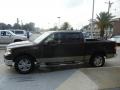 Dark Stone Metallic - F150 XLT SuperCrew Photo No. 5