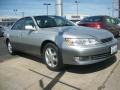 Millenium Silver Metallic - ES 300 Photo No. 34