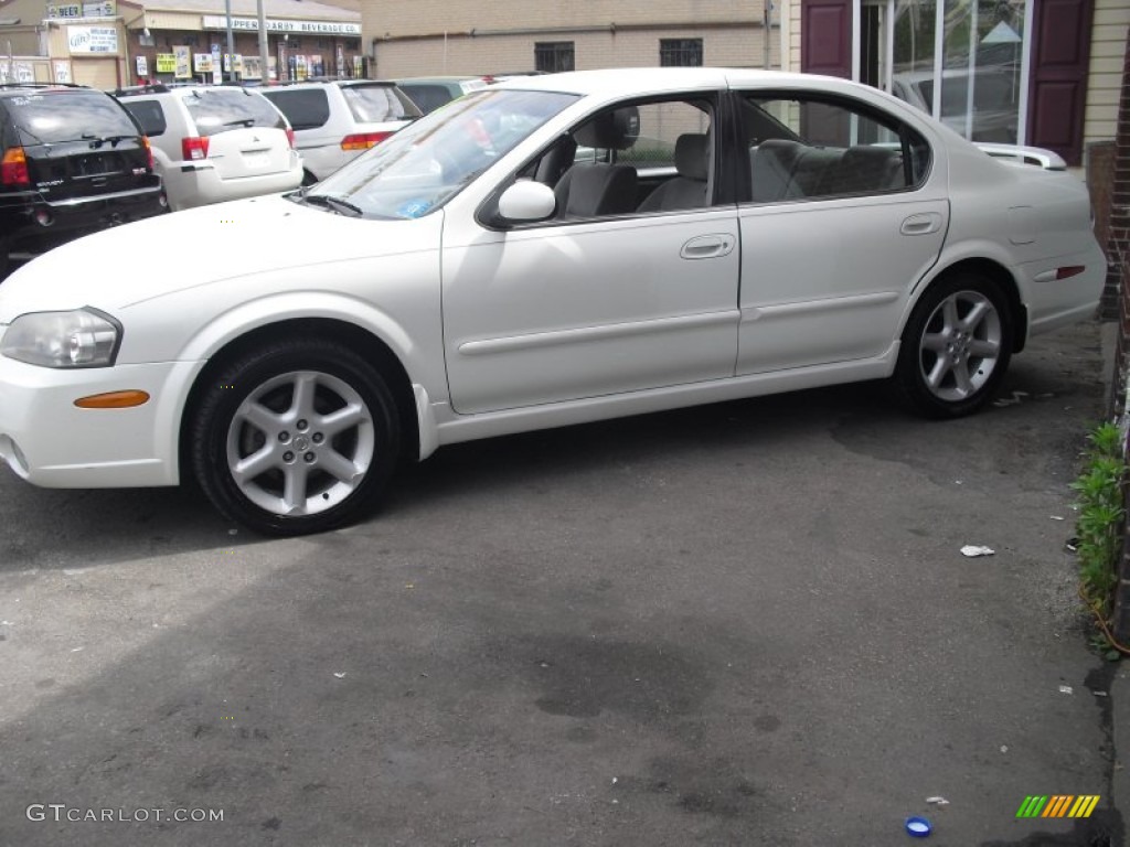 2002 Maxima SE - Glacier White Pearl / Frost photo #8