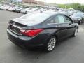 Pacific Blue Pearl - Sonata Limited 2.0T Photo No. 10