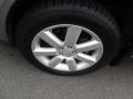 2009 Quartz Silver Metallic Subaru Outback 2.5i Special Edition Wagon  photo #30