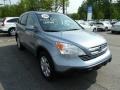 2008 Glacier Blue Metallic Honda CR-V EX-L 4WD  photo #7