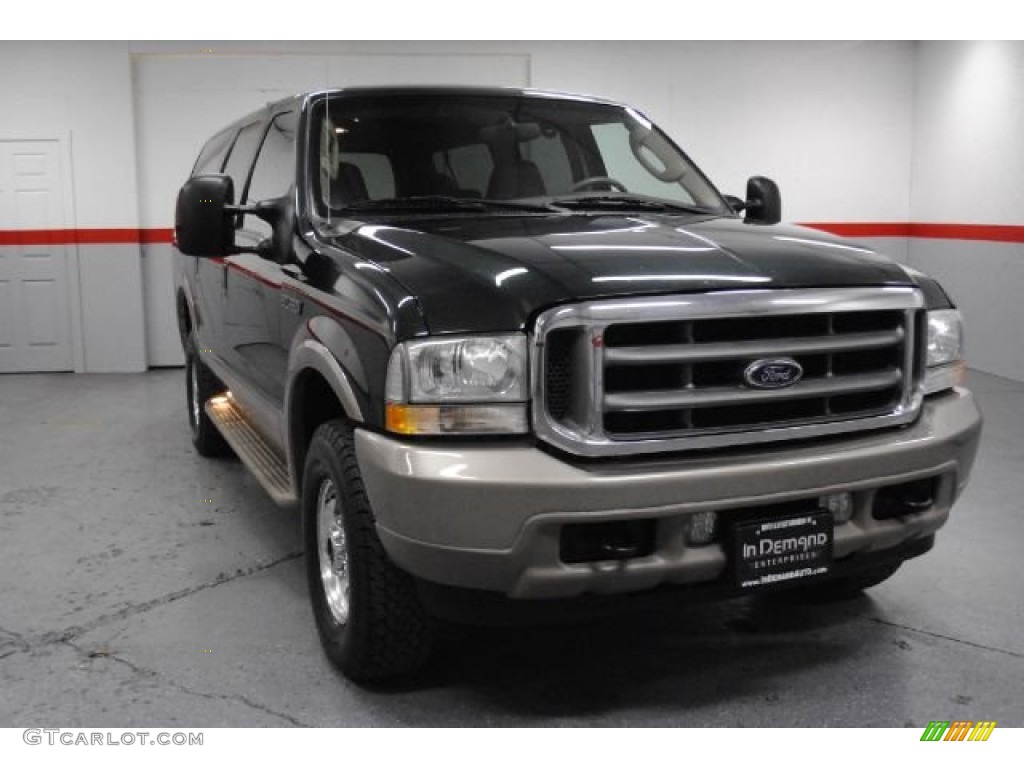 2004 Excursion Eddie Bauer 4x4 - Aspen Green Metallic / Medium Parchment photo #4