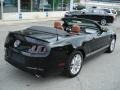 Black - Mustang V6 Premium Convertible Photo No. 8