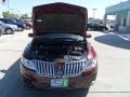 2009 Cinnamon Metallic Lincoln MKS AWD Sedan  photo #3