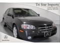 Gray Lustre Metallic - Maxima GLE Photo No. 1